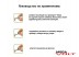 Клеммная колодка Wago 222-413 Клеммная колодка Wago 222-413