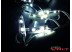 Светодиодный модуль SMD 3528 2LED (IP65) 12V
