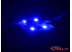 Светодиодный модуль SMD 5050 4LED (IP67) 12V