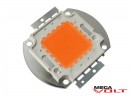 Фитосветодиод LED 30W (380nm-840nm) 900mA econom