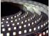 Светодиодная лента SMD 2835/120 (IP20) premium 12V