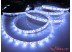 Светодиодная лента SMD 2835/60 (IP65) standart 12V