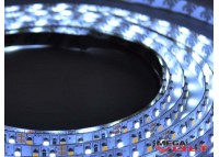 Светодиодная лента SMD 3528 (120 LED/m) IP20 premium 12V (Multi white)