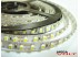 Светодиодная лента SMD 3528/120 (IP20) standart 12V