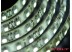 Светодиодная лента SMD 3528/120 (IP65) standart 12V Светодиодная лента SMD 3528/120 (IP65) standart 12V