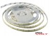 Светодиодная лента SMD 3528/240 (IP65) premium 24V Светодиодная лента SMD 3528/240 (IP65) premium 24V