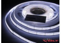 Светодиодная лента SMD 3528 (240 LED/m) IP65 premium 24V (ESTAR)