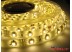 Светодиодная лента SMD 3528/60 (IP65) standart 12V Светодиодная лента SMD 3528/60 (IP65) standart 12V