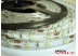 Светодиодная лента SMD 3528/60 (IP65) standart 12V Светодиодная лента SMD 3528/60 (IP65) standart 12V