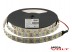 Светодиодная лента SMD 5050/120 (IP20) premium 24V Светодиодная лента SMD 5050/120 (IP20) premium 24V