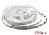 Светодиодная лента SMD 5050/30 (IP20) premium 12V