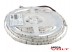 Светодиодная лента SMD 5050/30 (IP65) premium 12V Светодиодная лента SMD 5050/30 (IP65) premium 12V