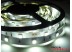 Светодиодная лента SMD 5050/30 (IP20) standart 12V