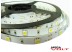 Светодиодная лента SMD 5050/30 (IP20) standart 12V