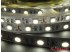 Светодиодная лента SMD 5050/60 (IP20) premium 12V