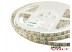Светодиодная лента SMD 5050/60 (IP65) premium 12V Светодиодная лента SMD 5050/60 (IP65) premium 12V