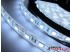 Светодиодная лента SMD 5050/60 (IP67) premium 12V