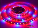 Светодиодная Фитолента SMD 5050 (60 LED/m) IP20 standart 12V