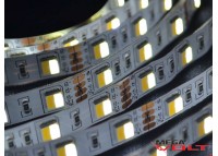 Светодиодная лента SMD 5050 (60 LED/m) IP20 standart 12V (Multi white)