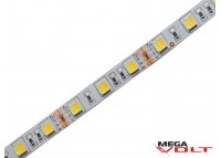 Светодиодная лента SMD 5050 (60 LED/m) IP20 standart 12V (Multi white)