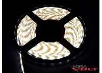 Светодиодная лента SMD 5050 (60 LED/m) IP65 standart 12V matted