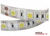 Светодиодная лента SMD 5050/60 (IP65) standart 12V