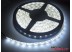 Светодиодная лента SMD 5050/60 (IP65) standart 12V