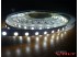 Светодиодная лента SMD 5050/72 (IP20) premium 12V Светодиодная лента SMD 5050/72 (IP20) premium 12V