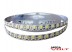 Светодиодная лента SMD 5050/72 (IP20) premium 12V Светодиодная лента SMD 5050/72 (IP20) premium 12V