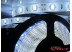 Светодиодная лента SMD 5630/60 (IP65) standart 12V