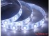 Светодиодная лента SMD 5630/60 (IP65) standart 12V