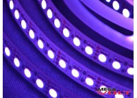 Светодиодная лента SMD 5050 (120 LED/m) RGB IP20 standart 12V
