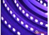 Светодиодная лента SMD 5050/120 (IP20) RGB standart 12V Светодиодная лента SMD 5050/120 (IP20) RGB standart 12V