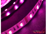 Светодиодная лента SMD 5050 (60 LED/m) RGB+W IP20 standart 12V