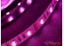 Светодиодная лента SMD 5050 (60 LED/m) RGB+W IP20 standart 12V Светодиодная лента SMD 5050 (60 LED/m) RGB+W IP20 standart 12V