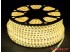 Светодиодная лента SMD 5050/60 (IP67) 220V (1 chip) Светодиодная лента SMD 5050/60 (IP67) 220V (1 chip)