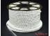 Светодиодная лента SMD 5730/120 (IP67) 220V Светодиодная лента SMD 5730/120 (IP67) 220V