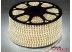 Светодиодная лента SMD 5730/72 (IP67) 220V Светодиодная лента SMD 5730/72 (IP67) 220V