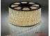 Светодиодная лента SMD 5730/72 (IP67) 220V Светодиодная лента SMD 5730/72 (IP67) 220V