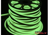 Гибкий неон Flex 12V SMD 2835 (120 LED/m) IP67 Green