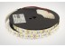 Світлодіодна стрічка ESTAR SMD 5050/120 (IP20) premium 24V біла (6000-6500К) Світлодіодна стрічка ESTAR SMD 5050/120 (IP20) premium 24V біла (6000-6500К)