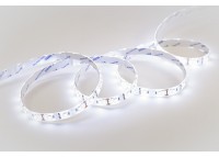Світлодіодна стрічка ESTAR SMD 2835/60 (IP65) premium 12 V біла (6000-6500 К)
