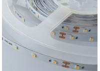Світлодіодна стрічка 24 V ESTAR 3528/60 (IP20) premium біла нейтральна (3800-4300К)