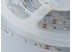 Світлодіодна стрічка 24 V ESTAR 3528/60 (IP20) premium біла нейтральна (3800-4300К) Світлодіодна стрічка 24 V ESTAR 3528/60 (IP20) premium біла нейтральна (3800-4300К)