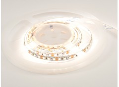 LED-стрічка ESTAR SMD 3528/112 (IP20) premium 24V нейтральна біла (3800-4300К)