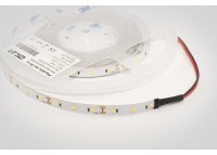 Світлодіодна стрічка ESTAR SMD 2835/60 (IP20) premium 12 V біла (6000-6500 К)