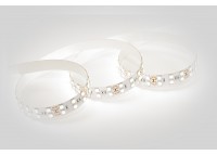 Світлодіодна стрічка ESTAR SMD 5050/120 (IP20) premium 24V біла (6000-6500К)