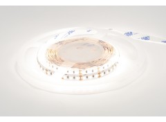 Світлодіодна стрічка ESTAR SMD 2835/120 (IP20) premium 12 V біла (6000-6500К)