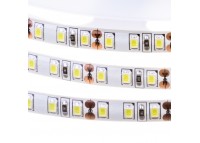Led лента 12В холодная белая AVT smd2835 120LED/m IP20, 1м