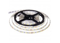 Led лента 12В белая smd5050 60LED/m IP65, 1м
